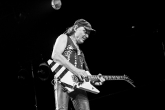 Scorpions at Toyota