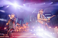 Scorpions at Toyota