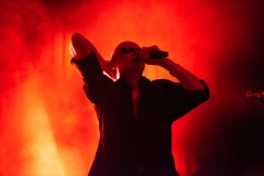 The Sisters of Mercy in Houston