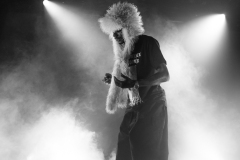 DSC06634
