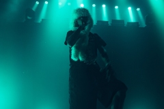DSC06653