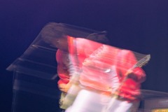 DSC09339