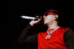 DSC03091
