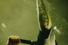 adtr.damian-07554