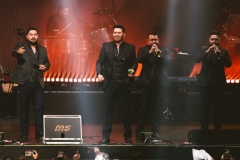 BandaMS-14