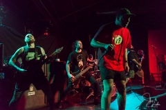 2019-11-26-Acacia-Strain-8572