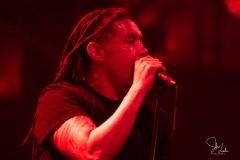 2022-01-28-Nonpoint-6909