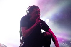 2022-01-28-Nonpoint-6963