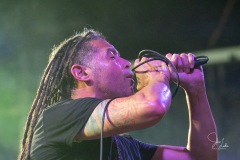 2022-01-28-Nonpoint-7084