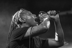 2022-01-28-Nonpoint-7089