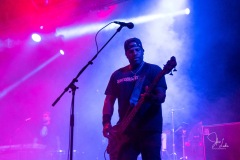 2019-08-27-Jennifer-Lake-Photography-Hawthorne-Heights-7416