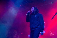 2019-08-27-Jennifer-Lake-Photography-Hawthorne-Heights-7423