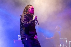 2019-08-27-Jennifer-Lake-Photography-Hawthorne-Heights-7521
