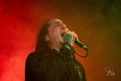 2019-08-27-Jennifer-Lake-Photography-Hawthorne-Heights-7679